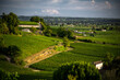 Saint-Émilion Wine Production in the Bordeaux Vineyard Region