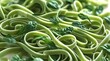 © Rezza - A Green spinach tagliatelle pattern background, with vibrant green strands of tagliatelle pasta arranged in a intricate, swirly design, set against a soft