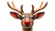 © Safiya - deer head isolated