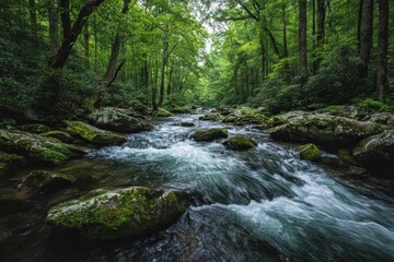  Lush Forest Stream with Mossy Rocks and Flowing Water