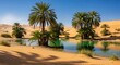 © parman - Oasis in Sahara Desert.