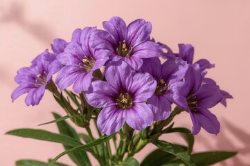 Wall Mural - Ruellia simplex flowering plant with vibrant purple blossoms