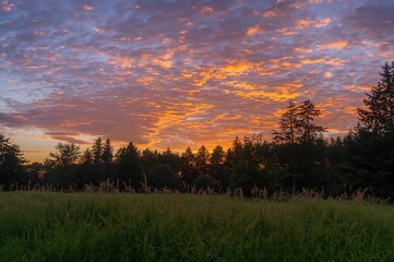 Wall Mural - Bright evening sunset in Germany