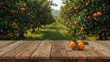Empty wooden tabletop with decorative space and sunlit orange trees bearing fruit