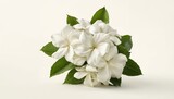 Bouquet of white gardenia flowers against a plain white backdrop