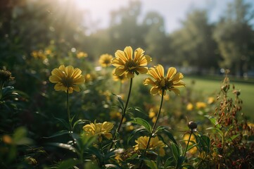 Wall Mural - Bright Yellow Blooms in a Green Space