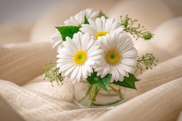 Wall Mural - Tiny glass vase holding white Gerbera flowers