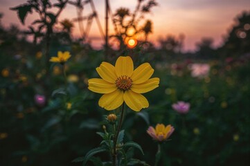 Wall Mural - Golden Blossom Against a Twilight Sky in a Garden