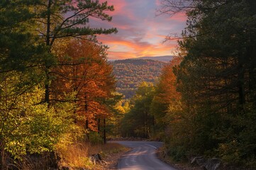 Wall Mural - sunset glow through woodland path