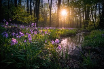 Wall Mural - Forest creek during springtime in a natural setting