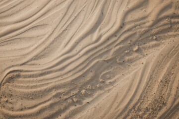 Wall Mural - Overhead view of sandy surface texture