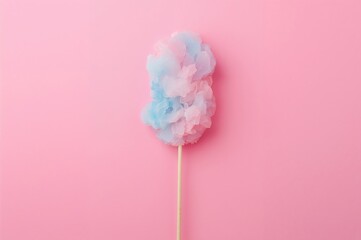 Wall Mural - Cotton candy displayed from above on a pink backdrop with room for text