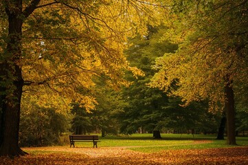 Wall Mural - Yellow maple leaves scattered in a forest park during fall season, showcasing nature's beauty and vibrant landscape