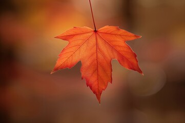 Wall Mural - fall season landscape featuring vibrant maple leaves.
