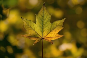 Wall Mural - Background with a Creeper-themed maple leaf