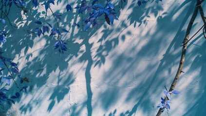 Wall Mural - blurred backgrounds featuring abstract shadows, blue foliage, natural trees mirrored on concrete sur