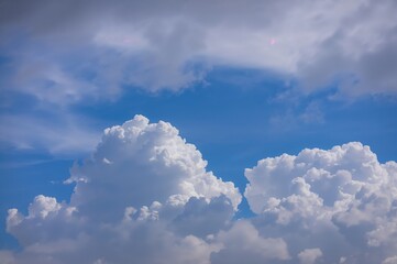 Wall Mural - Soft-focus fluffy white cumulus clouds against a clear blue sky