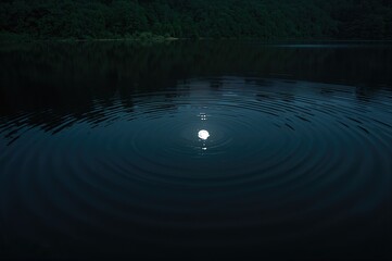 Wall Mural - Close-up of ripples on a dark liquid surface.