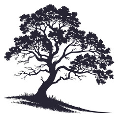  tree silhouette vector