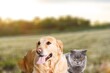 © BillionPhotos.com - Cute beautiful dog and cat posing outdoor