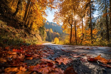Wall Mural - Beautiful sunny autumn landscape with fallen dry red leaves, road through the forest and yellow trees. High quality