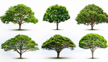 Six Green Trees Isolated On White Background Illustration Generative Ai