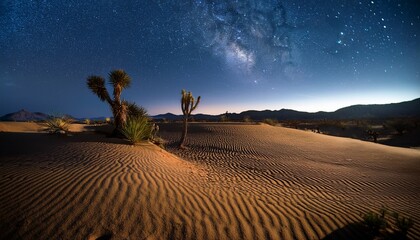 Wall Mural - Desert Landscape During The Night