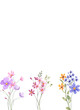 © Larisa - Watercolor flowers, floral frame border for greeting card, invitation and other printing design. Isolated on white. Hand drawing.