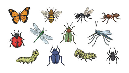 Insect Variety: A vibrant collection of insects showcases the intricate beauty of nature's small wonders, from the delicate wings of butterflies to the industrious antennae of ants.