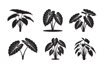 Colocasia tree silhouette vector illustration, Set of Colocasia tree silhouette vector 