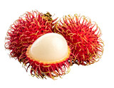 Fresh Exotic Rambutan Fruit Close-Up – Red Hairy Tropical Delight with Sweet Juicy Flesh on White Background