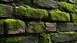 © Nanang - Mossy brick wall, texture is prominent, green overgrowth on aged, eroded masonry