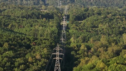 Wall Mural - Electric power lines between green lush trees of blue ridge mountains in Virginia, USA. Traffic on highway in background. Sunny day in summer. Wide shot.