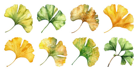 PNG Colorful ginkgo leaves illustration, element set on transparent background