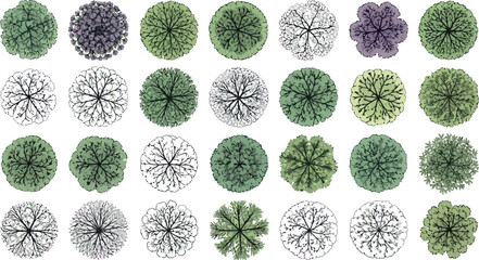 Vector art of collection of various trees from a topdown perspective