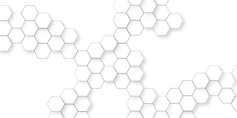 Canvas Print - Abstract minimal with white lines hexagonal structure futuristic white background, white geometric hexagonal honeycomb shape texture, geometric elegance showcasing a meticulously arranged pattern.