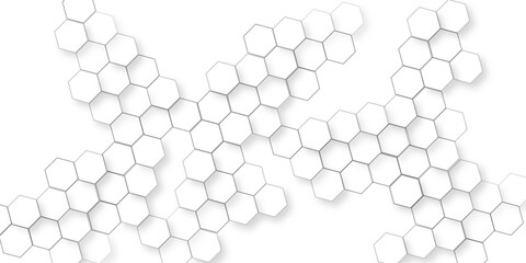 Canvas Print - Abstract minimal with white lines hexagonal structure futuristic white background, white geometric hexagonal honeycomb shape texture, geometric elegance showcasing a meticulously arranged pattern.