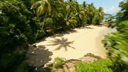 Wall Mural - Tropical Jungle Beach Drive - A scenic drive through a lush tropical jungle reveals a hidden sandy beach, palm trees sway gently in the breeze under a bright blue sky.