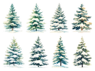 Wall Mural - watercolor snowy evergreen trees