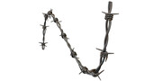 Realistic Barbed Wire Isolated on Transparent Background, Sharp Metal Fence with Spikes Symbolizing Security, Danger, Protection and Restricted Area