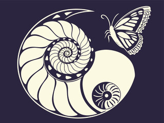 vector illustration of a seashell