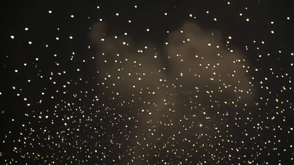 Dynamic fireworks display exploding with radiant light against dark night sky background