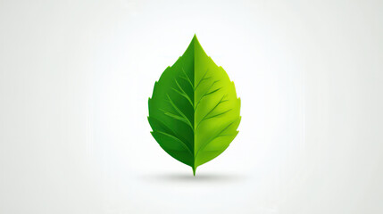 Vector icon image of a leaf