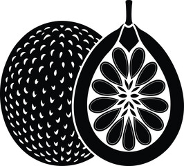 vector illustration of an orange fruit