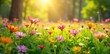 © Sathaporn Buarabut - Vibrant wildflowers blooming in a lush meadow bathed in the warm sunlight of springtime Perfect for themes of renewal, growth, and the beauty of nature's awakening , beauty, wildflowers