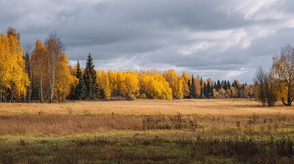 Canvas Print - autumn's embrace: a golden meadow meets a vibrant forest under a cloudy sky, painting a serene lands