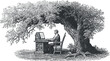 © Yana - A vintage illustration of a man typing at a typewriter under a large tree.