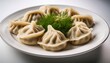 © Karyme - Plain White Plate Featuring Traditional Boiled Meat Dumplings