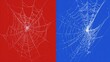 © mila103 - Spider webs are showcased in detail, featuring intricate patterns against bold red and blue backgrounds.