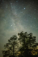 Wall Mural - A breathtaking vertical shot of the milky way and countless stars, framed by the silhouettes of two large trees against a dark and cloudy night sky.